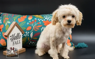 Puppy Socialization 101: Raise a Confident Dog